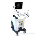 Aj-6100s/ Full Digital Trolley Ultrasound Scanner with Convex Probe